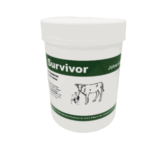 Survivor colostrum