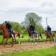 Top Tips for Keeping Racehorses Healthy James Dullea