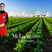 Paula’s Pick stiff sore sorrowful