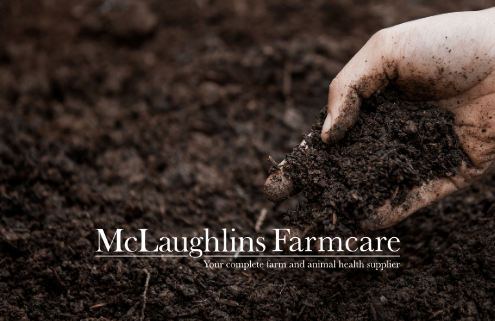 Soil sampling plant and soil solutions potatoes