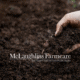 Soil sampling plant and soil solutions potatoes