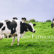 dry off tips milking cows Dos and don'ts around Drying off