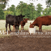minerals blog minerals sweet tooth pre calver