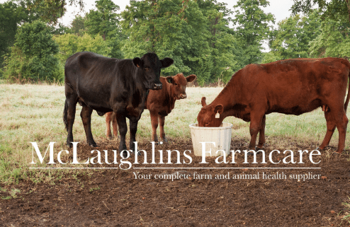 minerals sweet tooth pre calver