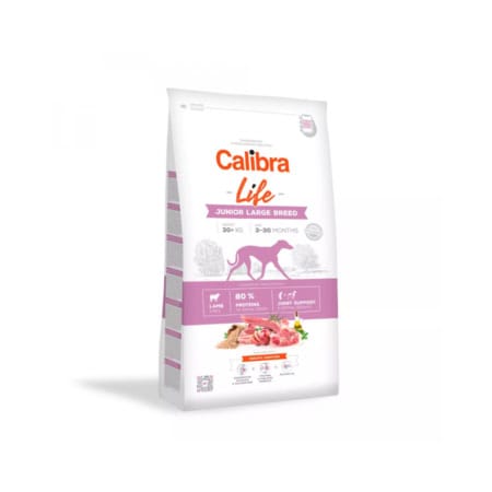 Calibra Life Dog Junior Large Breed Lamb