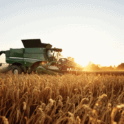 harvest blog harvest blog ready for harvest