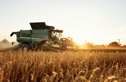 harvest blog ready for harvest