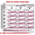 Royal Canin Early Renal Dog food