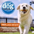 Yakers Natural Dog Chew infographic
